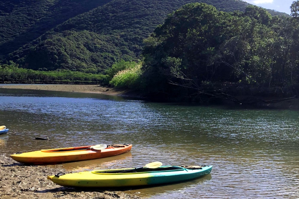 Participating in mangrove canoe touring