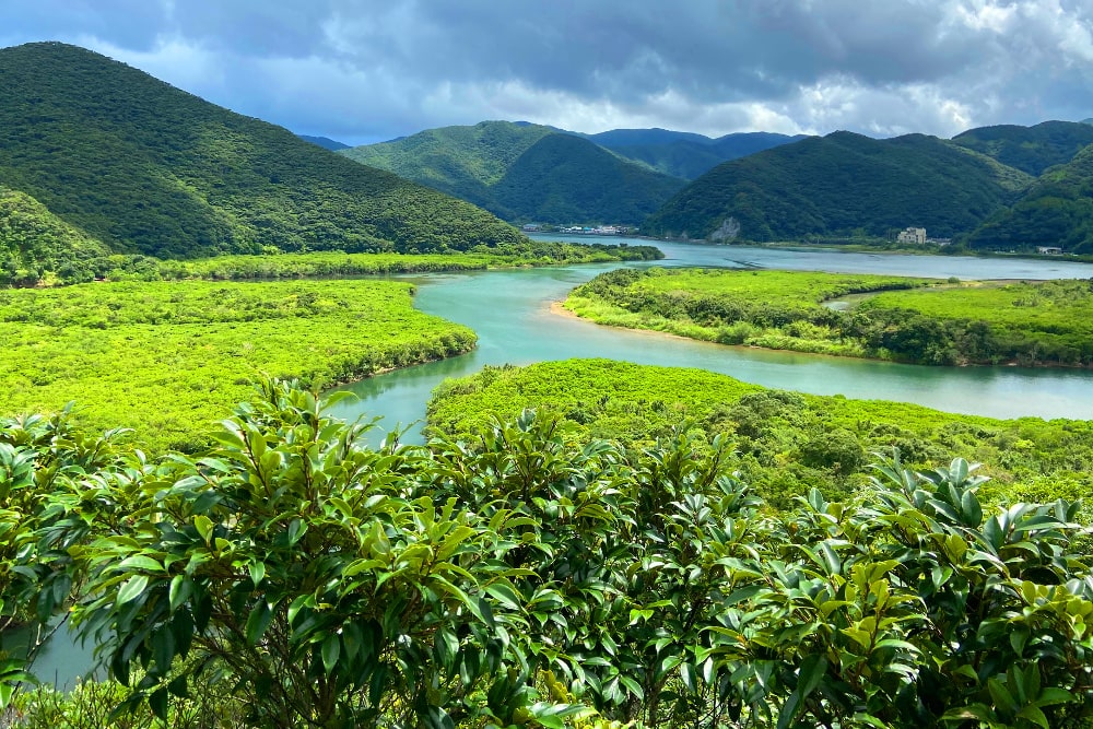 奄美大岛世界自然遗产地 山脉和自然，不包括海洋和城镇
