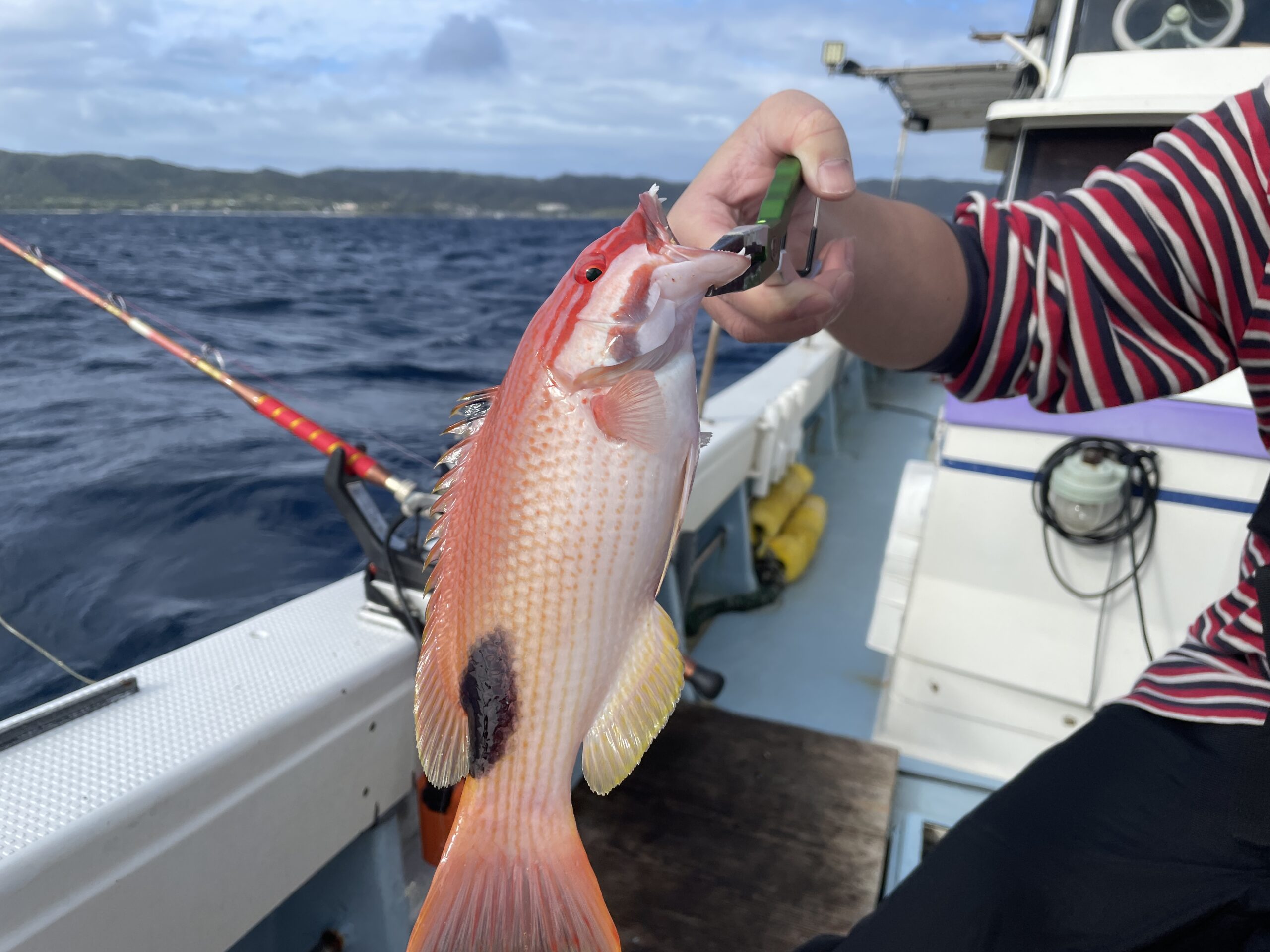 奄美大島の釣り船、航恵衣丸（こうえいまる）はファミリーフィッシングも大型狙いのベテランにもおすすめ！ | あまみと。