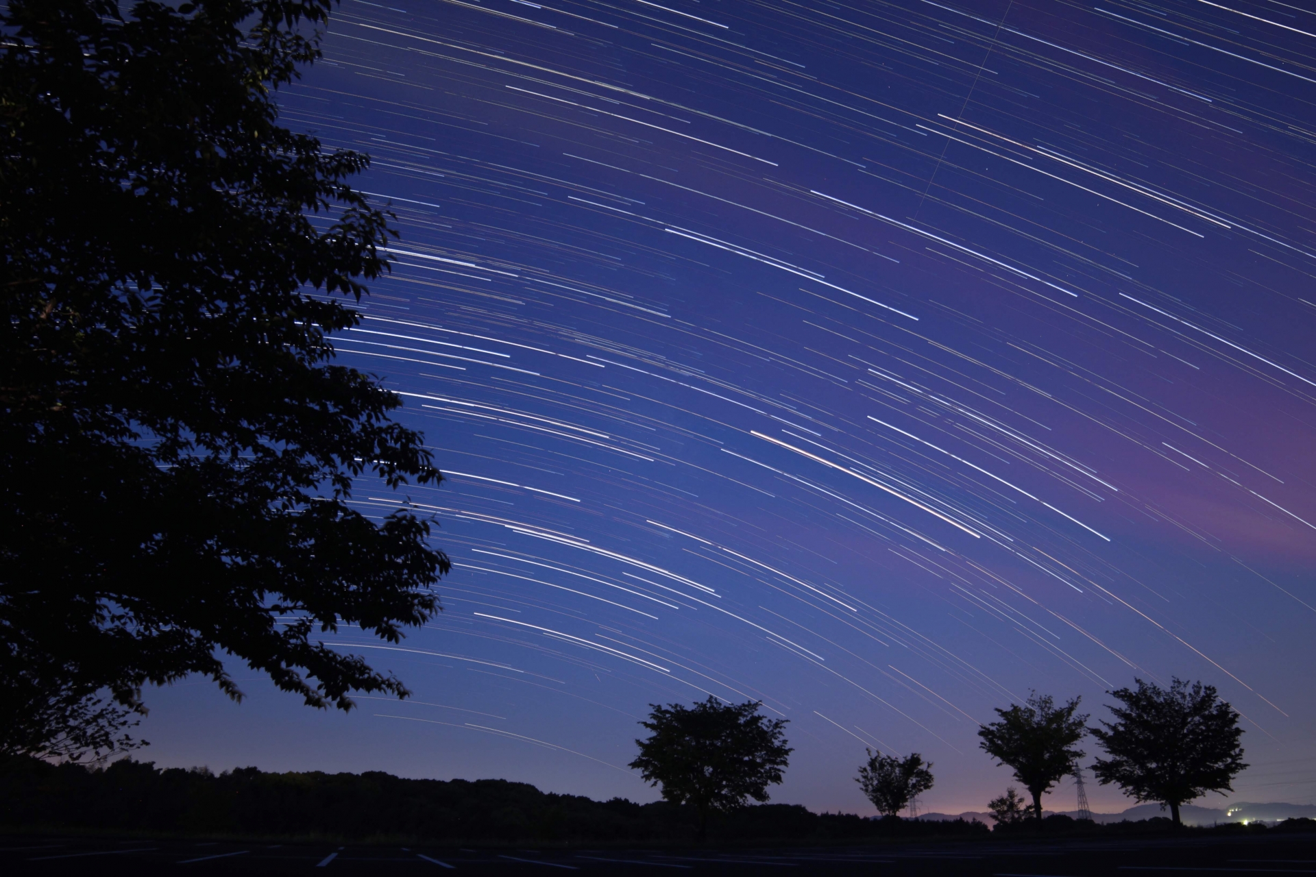 世界遺産 奄美大島の夜を探検 星空と夜の生き物たちに出会うナイト