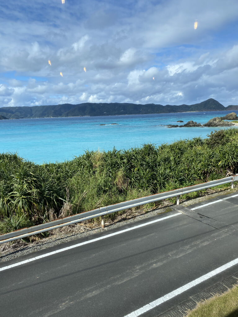 海